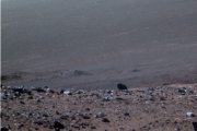 Марсохід виявив чотириногу тварину на Червоній планеті