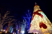 В Одесі запалили незвичайну, в'язану новорічну ялинку