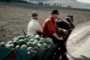 Молдавські фермери підкорили мережу хітом про знищення Росією продуктів (ВІДЕО)