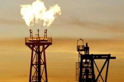 Україна повернула  19 газових родовищ, "віджатих" сім`єю Януковича
