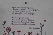 Маріупольську міськраду прикрасив вірш Ліни Костенко (ФОТОФАКТ)