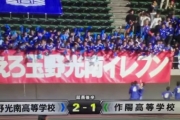 В Японії забили унікальний гол .Відео