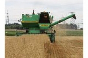 Украина вышла на второе место в мире по объему экспорта зерновых и на первое - по темпам роста производительности