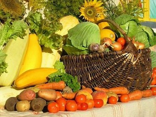 Україна за 7 місяців збільшила експорт продовольства до ЄС на 14%