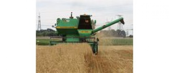 Украина вышла на второе место в мире по объему экспорта зерновых и на первое - по темпам роста производительности